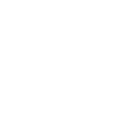icon-runer